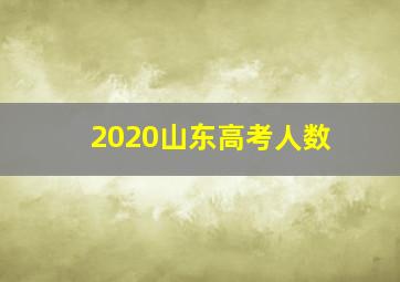 2020山东高考人数