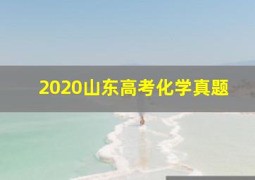 2020山东高考化学真题