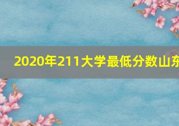 2020年211大学最低分数山东