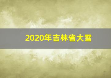 2020年吉林省大雪