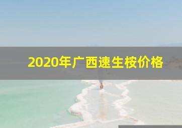 2020年广西速生桉价格