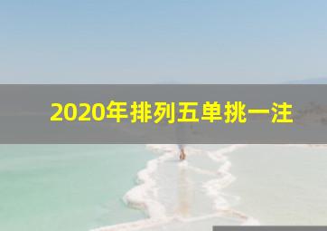 2020年排列五单挑一注