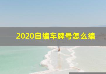 2020自编车牌号怎么编