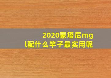 2020蒙塔尼mgl配什么竿子最实用呢