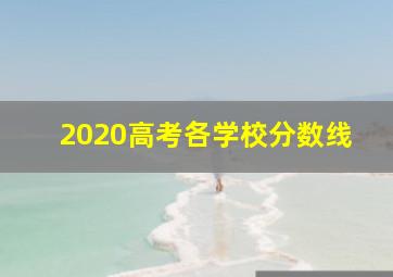 2020高考各学校分数线