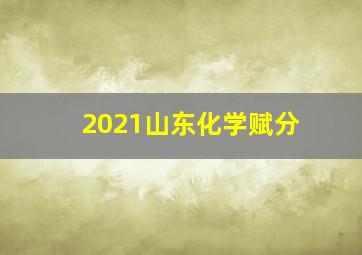 2021山东化学赋分