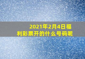 2021年2月4日福利彩票开的什么号码呢