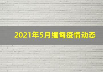 2021年5月缅甸疫情动态