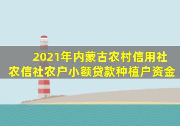 2021年内蒙古农村信用社农信社农户小额贷款种植户资金