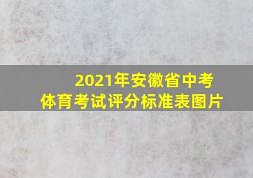 2021年安徽省中考体育考试评分标准表图片