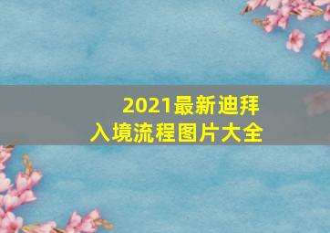 2021最新迪拜入境流程图片大全