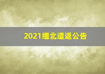 2021缅北遣返公告