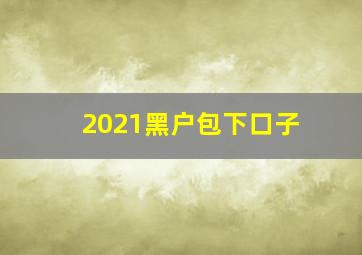 2021黑户包下口子