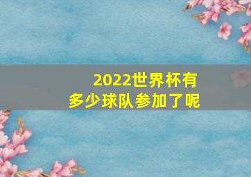 2022世界杯有多少球队参加了呢