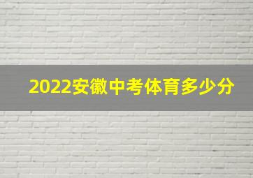 2022安徽中考体育多少分