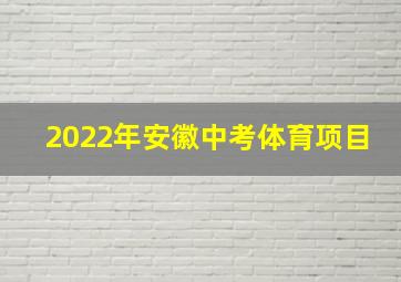 2022年安徽中考体育项目