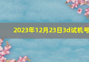 2023年12月23日3d试机号