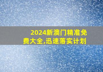 2024新澳门精准免费大全,迅速落实计划