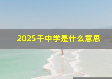 2025干中学是什么意思