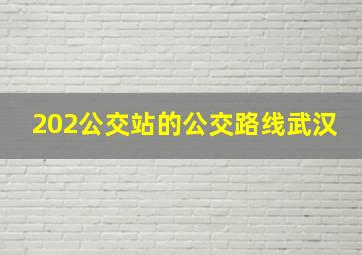 202公交站的公交路线武汉