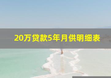 20万贷款5年月供明细表