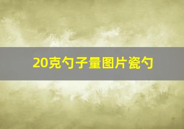 20克勺子量图片瓷勺