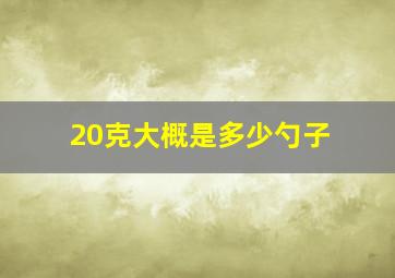 20克大概是多少勺子