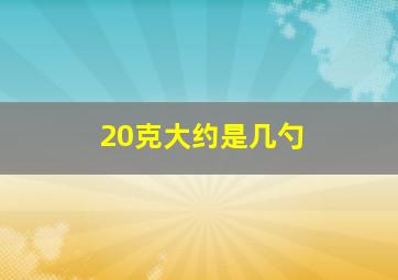 20克大约是几勺