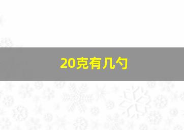 20克有几勺