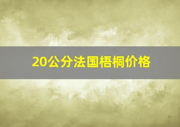 20公分法国梧桐价格