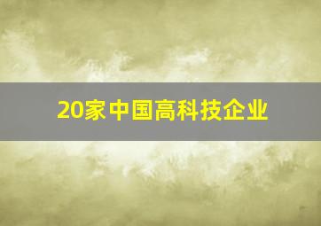 20家中国高科技企业