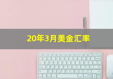 20年3月美金汇率