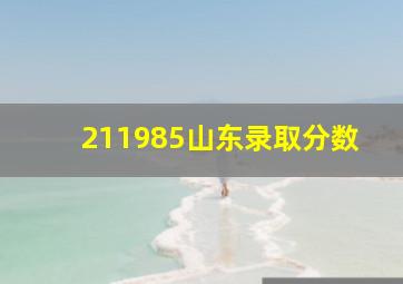 211985山东录取分数