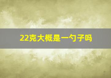 22克大概是一勺子吗