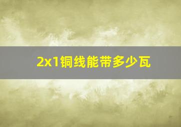 2x1铜线能带多少瓦