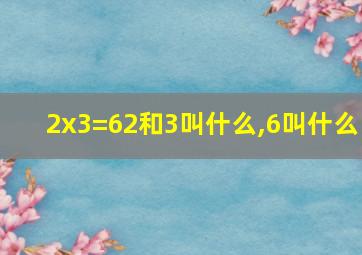 2x3=62和3叫什么,6叫什么