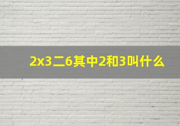 2x3二6其中2和3叫什么