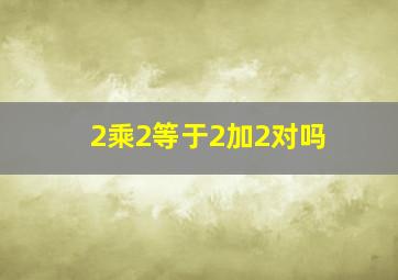 2乘2等于2加2对吗