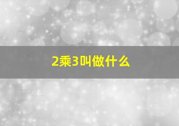 2乘3叫做什么