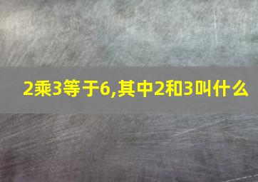 2乘3等于6,其中2和3叫什么