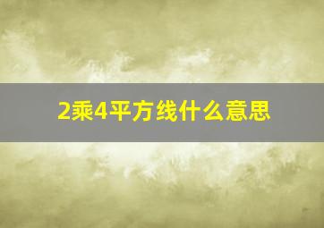 2乘4平方线什么意思