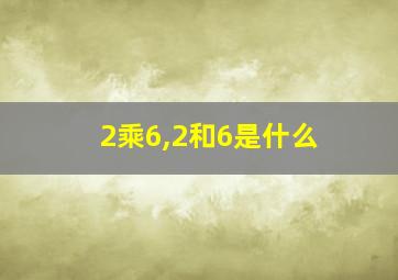 2乘6,2和6是什么