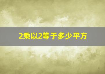 2乘以2等于多少平方