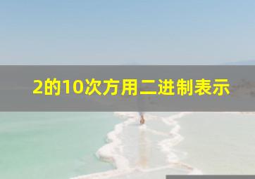 2的10次方用二进制表示