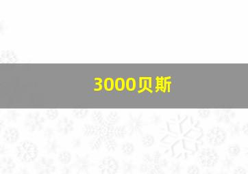 3000贝斯