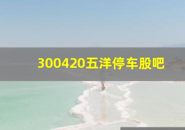 300420五洋停车股吧