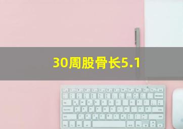 30周股骨长5.1