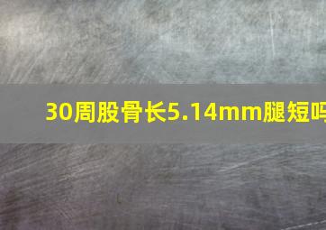 30周股骨长5.14mm腿短吗