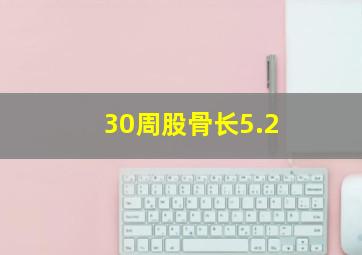 30周股骨长5.2