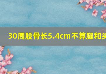 30周股骨长5.4cm不算腿和头